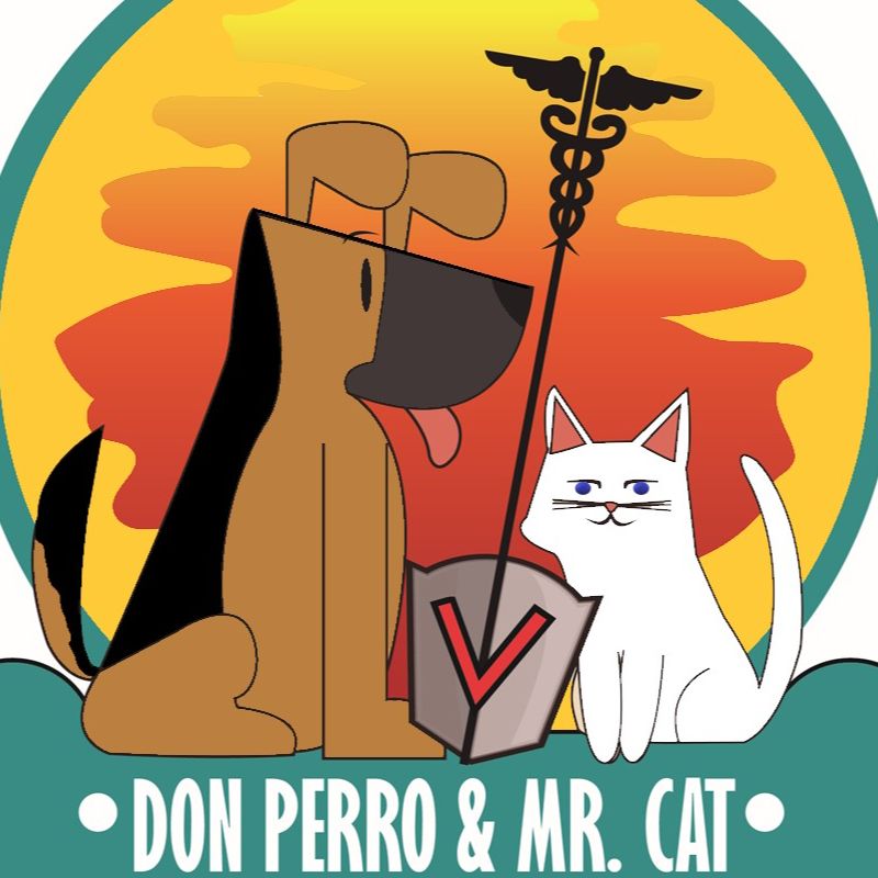 Don perro y Mister cat
